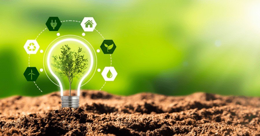 Embracing Environmental Sustainability in the 6G Era