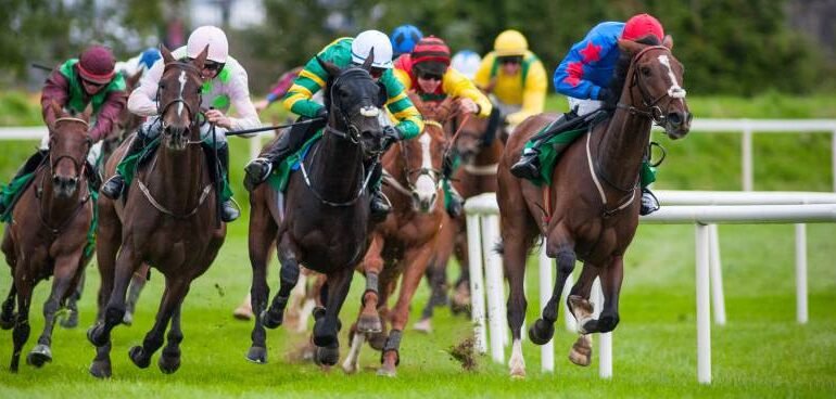 Melbourne Cup Results Betting Strategies for the Next One